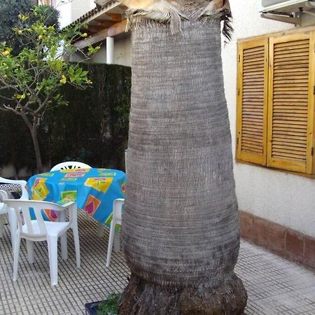 La Casa De La Palmera Appartement Torrevieja Buitenkant foto