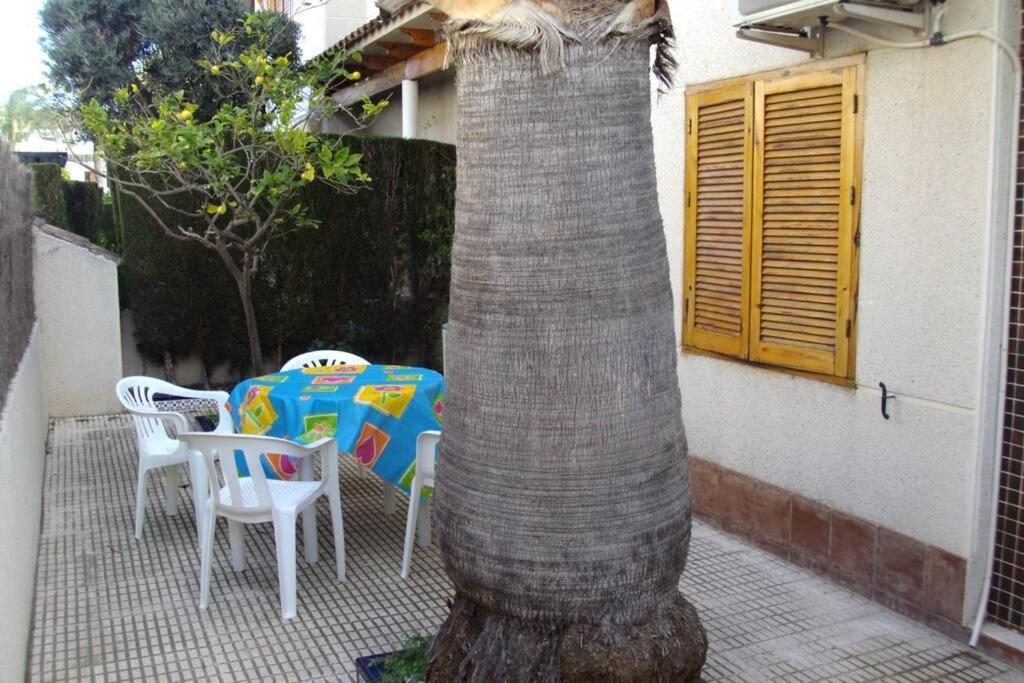 La Casa De La Palmera Appartement Torrevieja Buitenkant foto